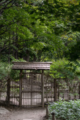 日本庭園 / 森の中の門