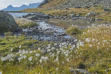 Bergsee bei der Passhöhe des Sustenpasses, Bern, Schweiz