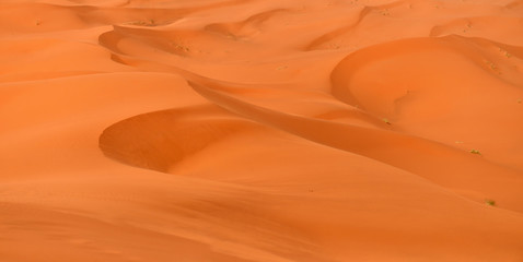 Fototapeta na wymiar Sahara Desert dunes