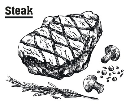 Beef steak. Meat and spices. Sketches drawn by hand.