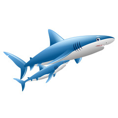 a pair of cute white shark