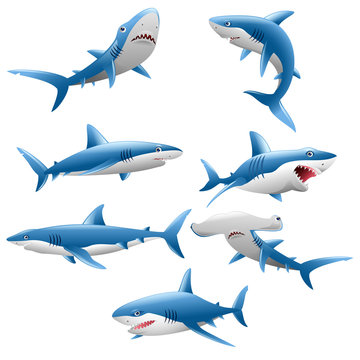 cute shark cartoon collection
