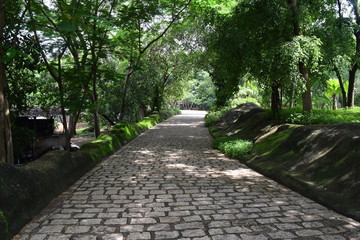 road in the park for  pedestrian