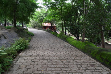 Fototapeta premium road in the park for pedestrian
