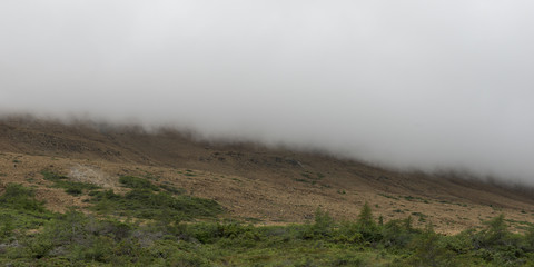 Fog over tablelands, Gros Morne National Park, Newfoundland and