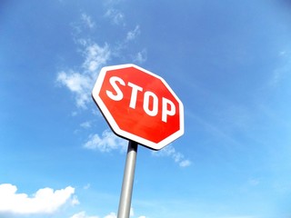 Stop roadsign near asphalt road in nature during sunny day
