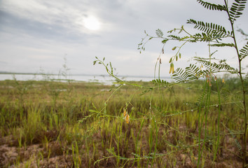 Mountain lake fog before sunrise