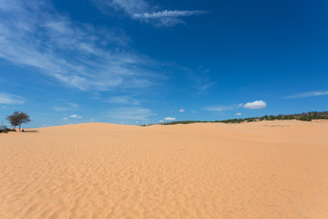 red sand dune desert in Mui Ne, Vietnam