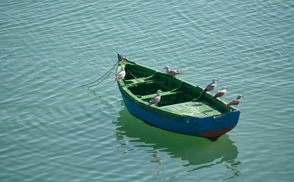 the boat with seagulls