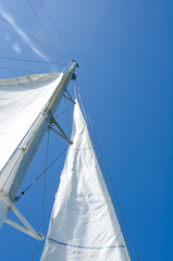 Fototapeta premium white yacht sails against the blue sky of tropical