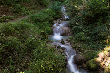 Wasser fliesst im Bach durch die Natur im Wald