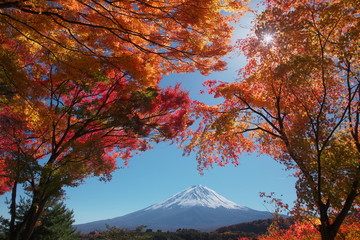 紅葉に包まれた富士山