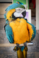 Who's a Pretty Boy...