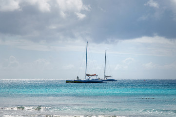 Obraz premium nice white pleasure sail boats catamaran in Caribbean sea , Dominican Republic