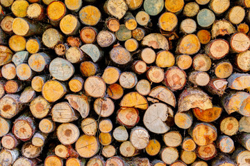 Stack of firewoods on the sun.