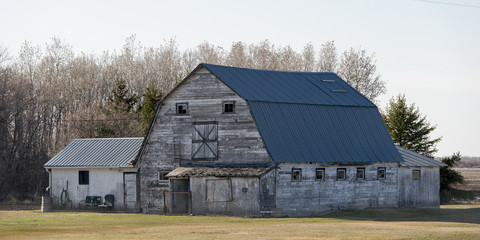 Old barn in a field, Manitoba, Canada