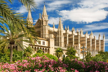XXX - Kathedrale la Seu in Palma de Mallorca - 2813 © Wolfgang Jargstorff