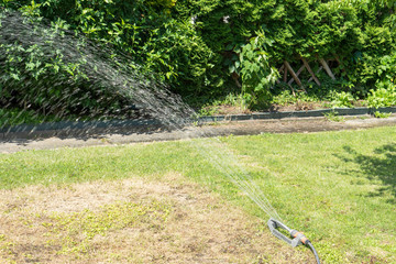 Garden time / irrigate a dry grass