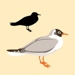Bird seagull vector illustration black silhouette style Flat