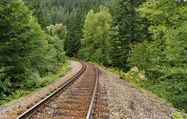 Fototapeta premium Railroad passing through the quiet green forest