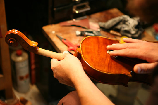 violino