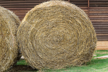 Golden hay bales