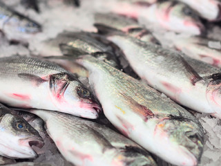 Fresh raw mullet fish on ice at fish market