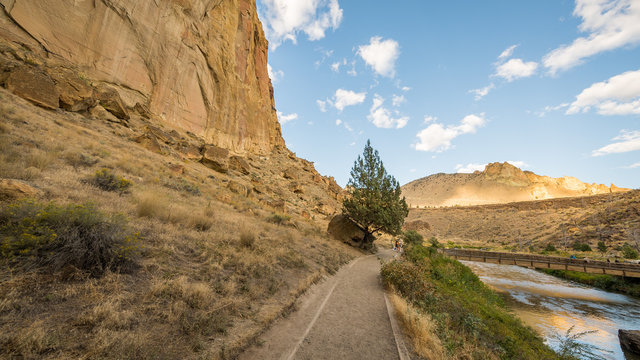 The path between the rock and the river. The sheer rock walls. Lonely tree on the riverbank. Beautiful landscape of yellow sharp cliffs. Smith Rock state park, Oregon