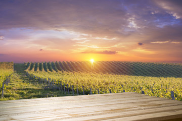 Red wine with barrel on vineyard in green Tuscany, Italy
