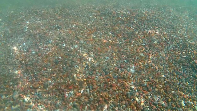 Sonnenreflexe im seichten Ostseewasser