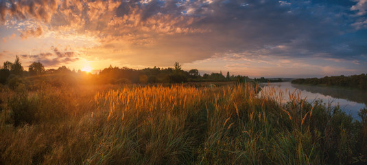 Meadow and river illuminated by the sun