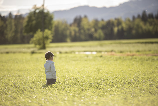 Child standing in waves of grain in field