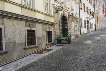 Fototapeta na wymiar Beautiful street in old city centre near the city hall in Ljubljana. 