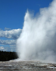 Old Faithful Geysir, Yellowstone NP (USA)