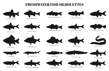 Naklejka premium freshwater fishes silhouettes