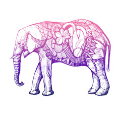 Colorful Hand Drawn African elephant. Black silhouette with decorative elements.