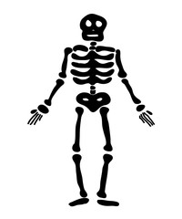 halloween skeleton vector symbol icon design.