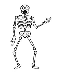 Obraz premium halloween skeleton vector symbol icon design.