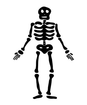 halloween skeleton vector symbol icon design.