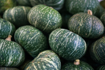 Fresh homegrown,farm organic healthy fruits and vegetables at fr
