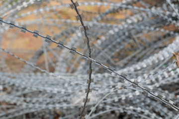 barbed wire fence