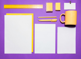 Mock-up business template with cards, papers, pen. Lilac background.