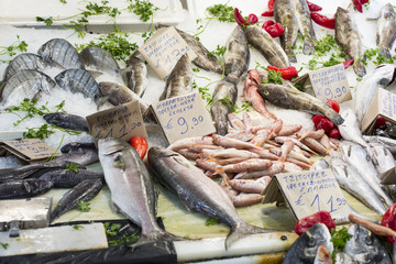 Variety of fish and seafood on local greece market.