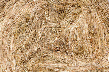 texture of the haystack