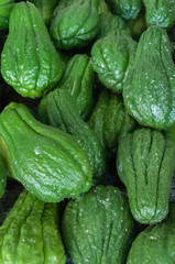 Chayote green