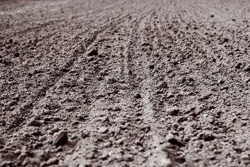plowed furrows in the ground