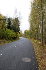 Wet and slippery asphalt road. Curves ahead. Fallen leaves on the ground.