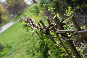 Brockwell park fence