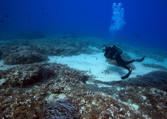Diver, Mediterranean sea.