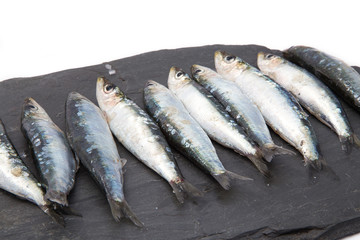 Sardines